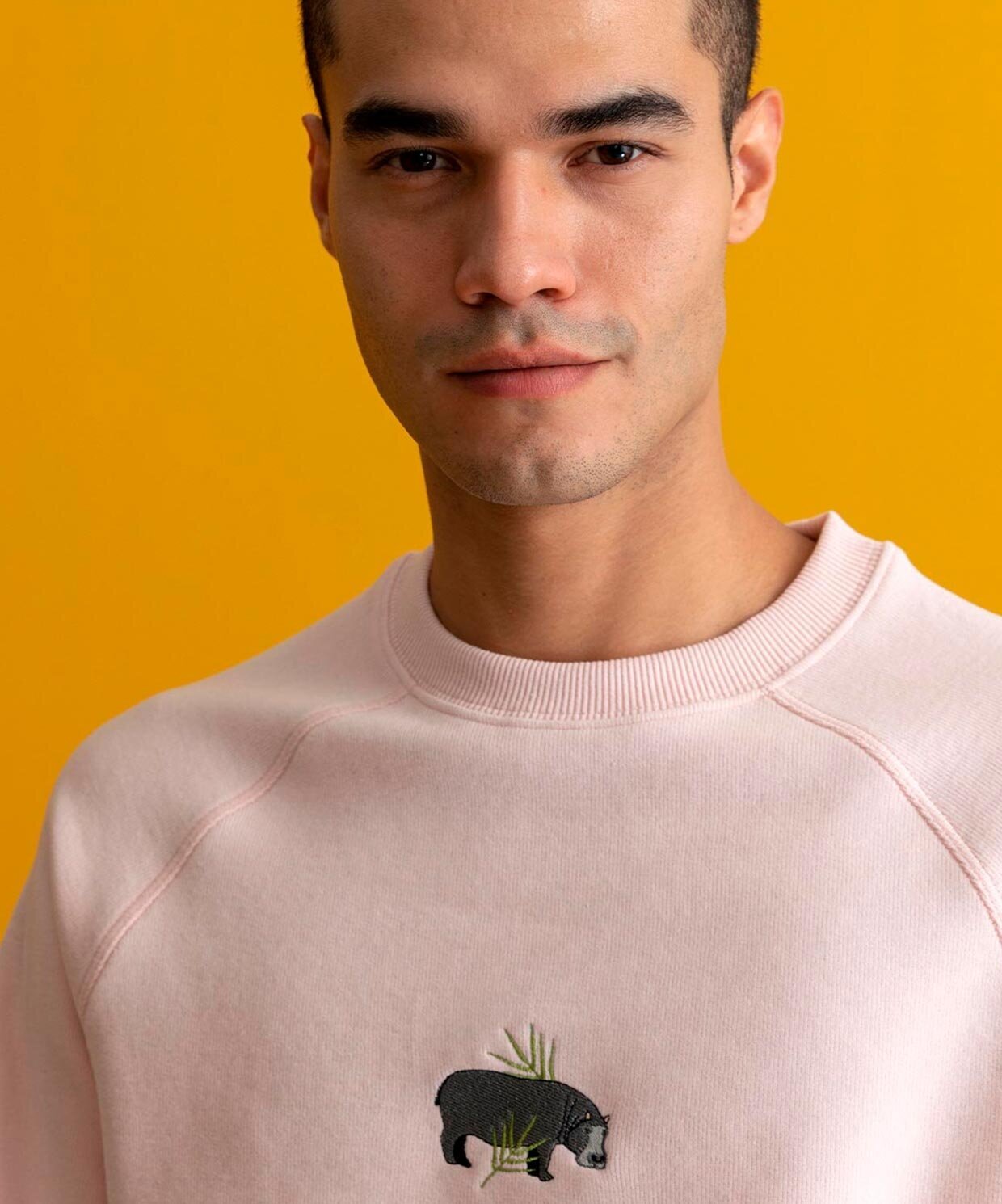 resm WWF Suaygırı Sweatshirt