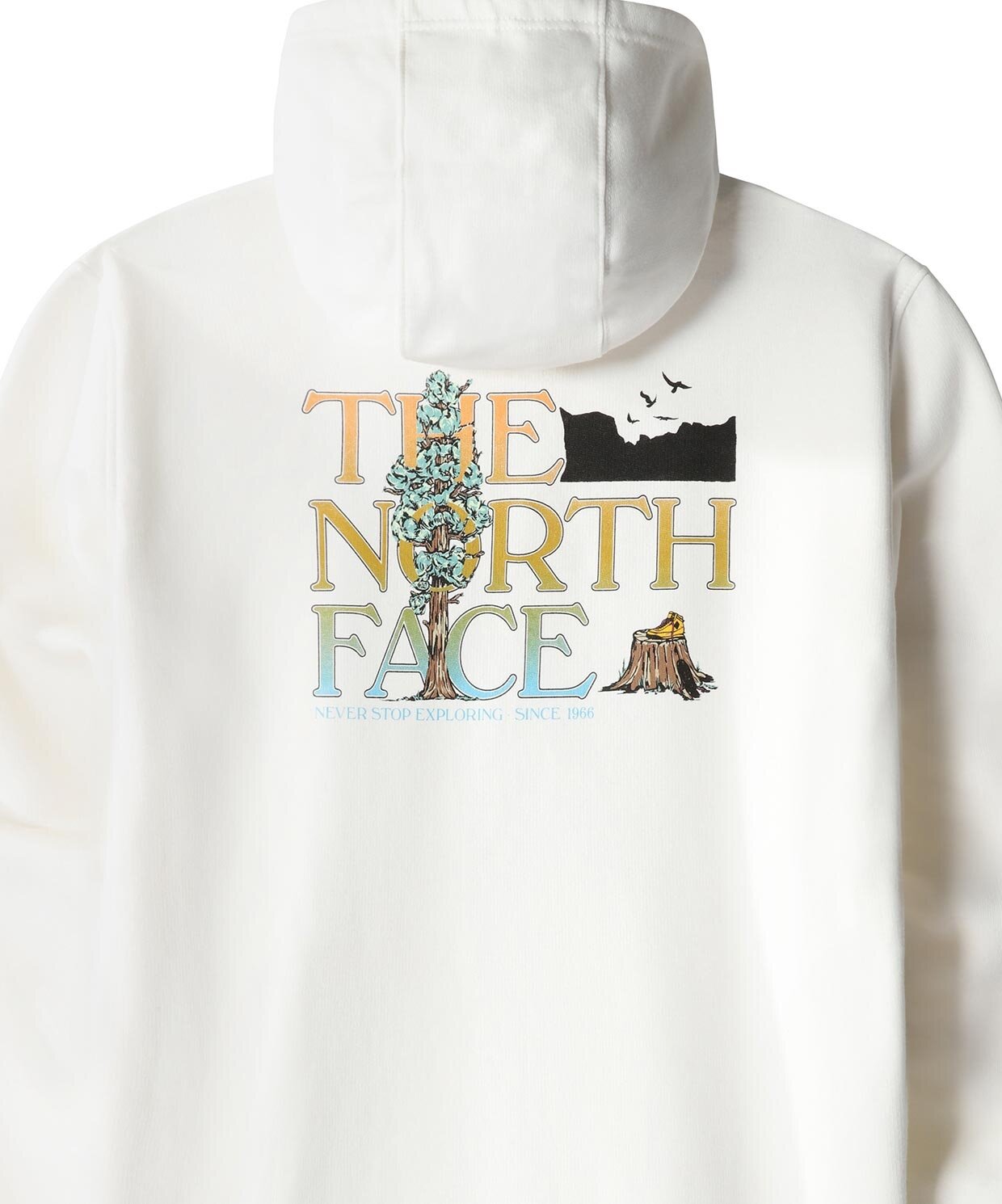 The North Face M Seasonal Graphic Hoodie