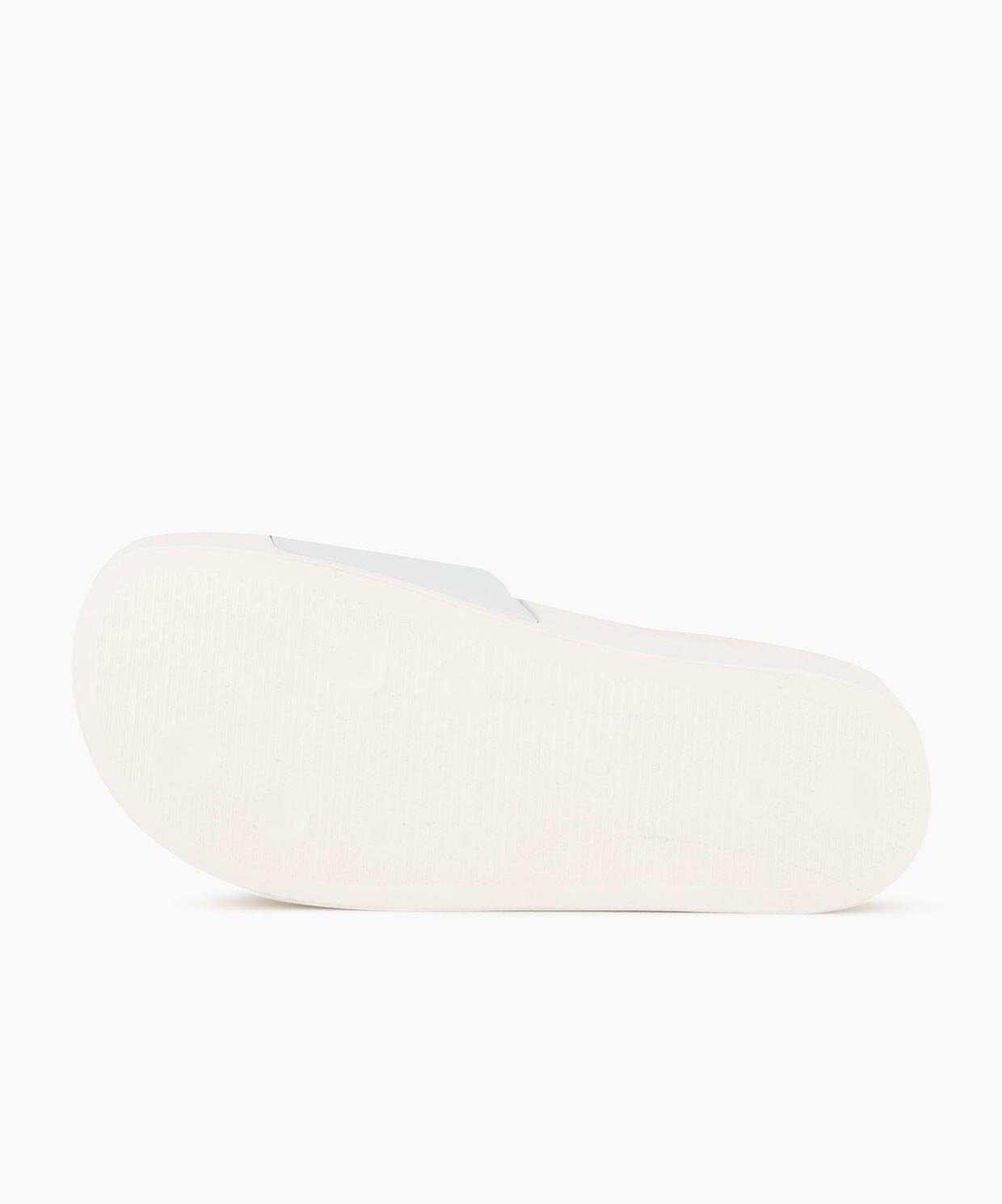 Champion Slide Nova