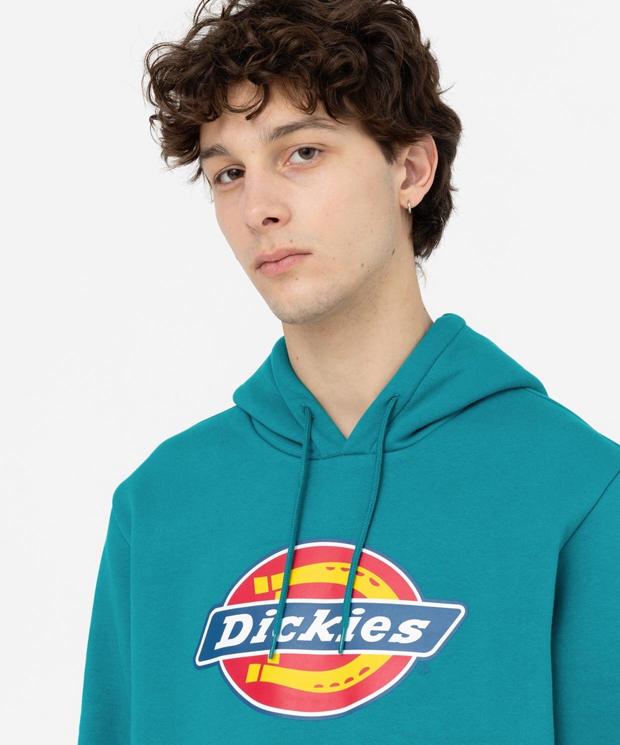 Dickies Icon Logo Hoodie Erkek Dk0a4xcbe641 001 Sneaks Up