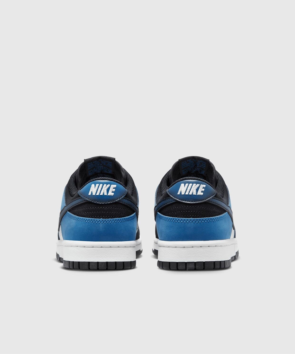 Nike Dunk Low Retro Nas