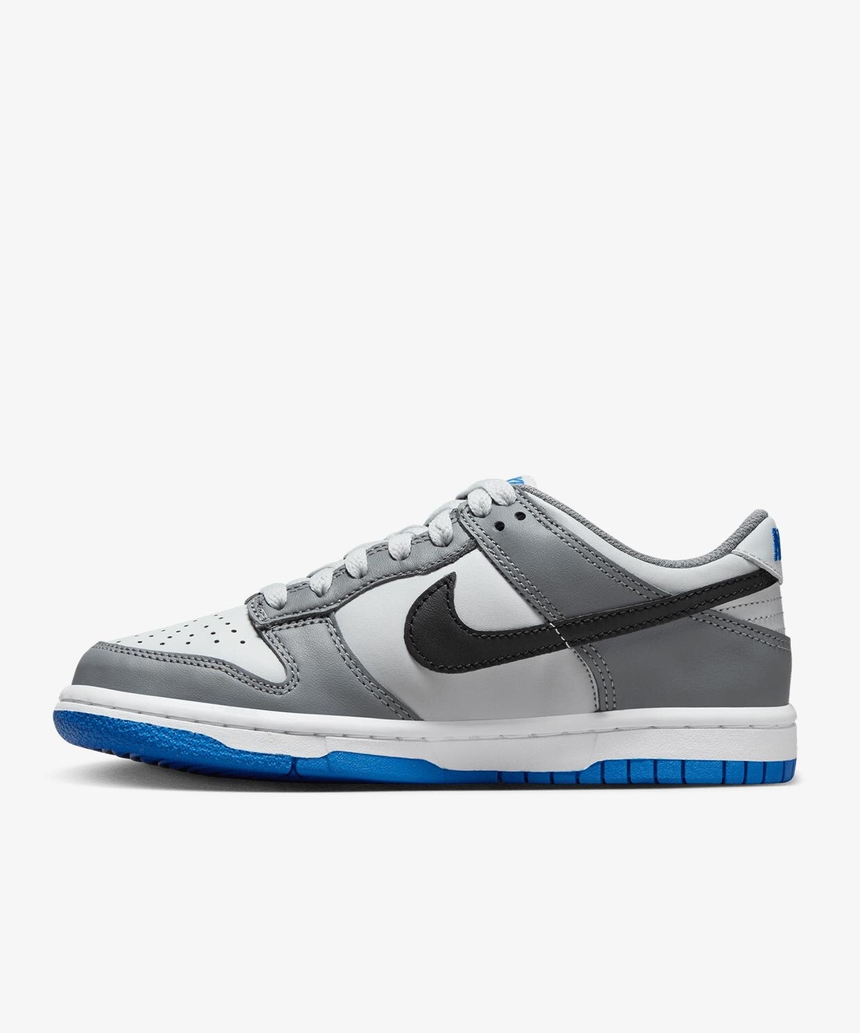 Nike Dunk Low (Gs)