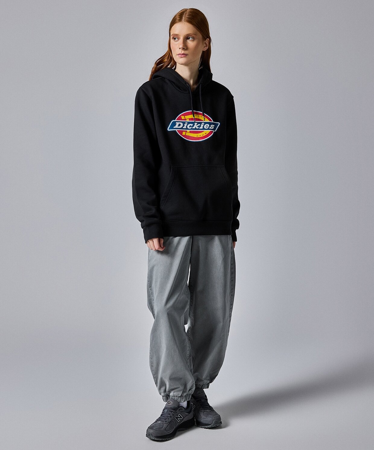 Dickies Icon Logo Hoodie