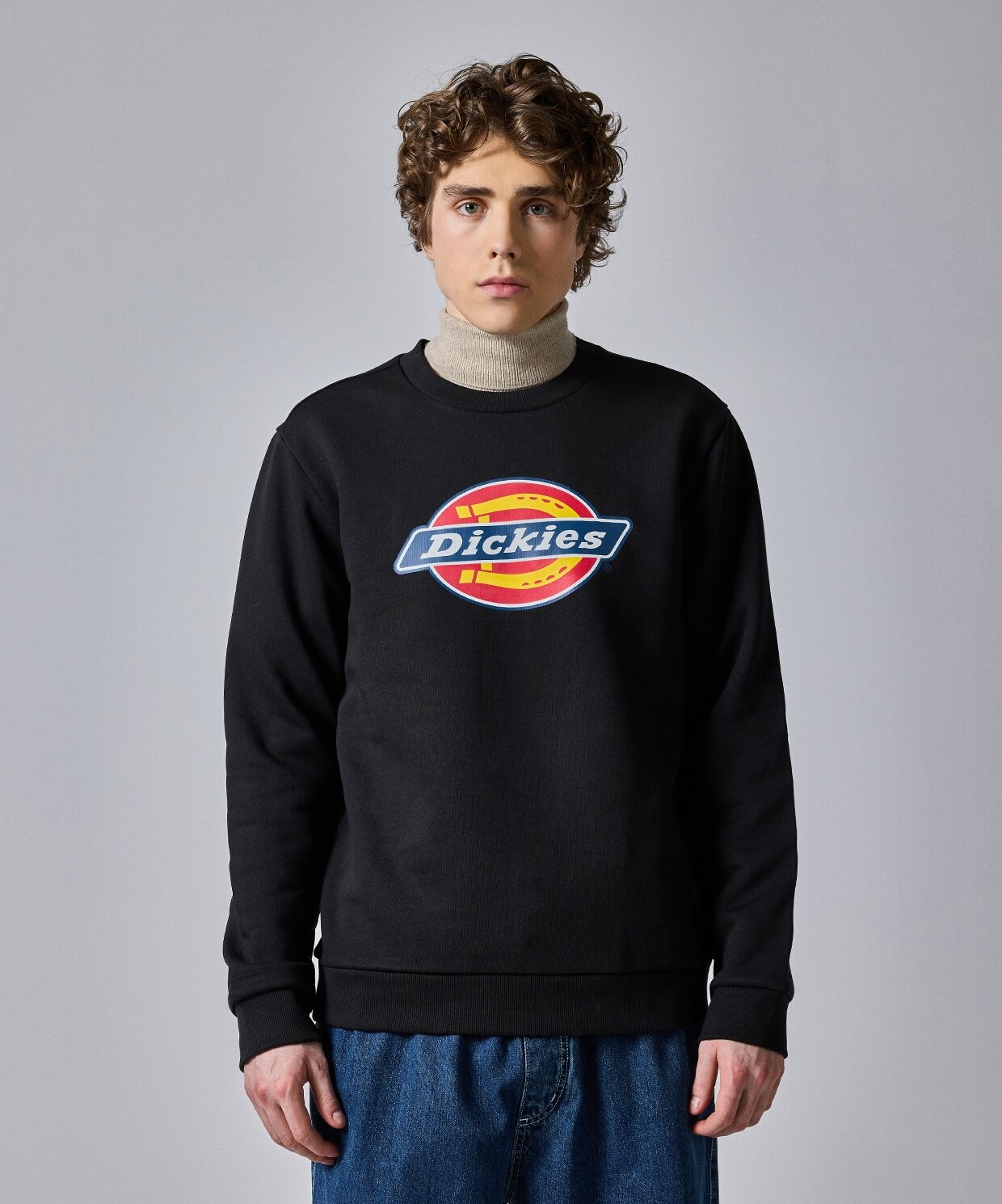 Dickies Icon Logo Sweatshirt Erkek Dk0a4xciblk1 001 Sneaks Up