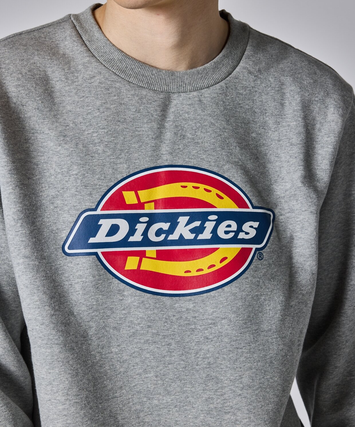 resm Dickies Icon Logo Sweatshirt