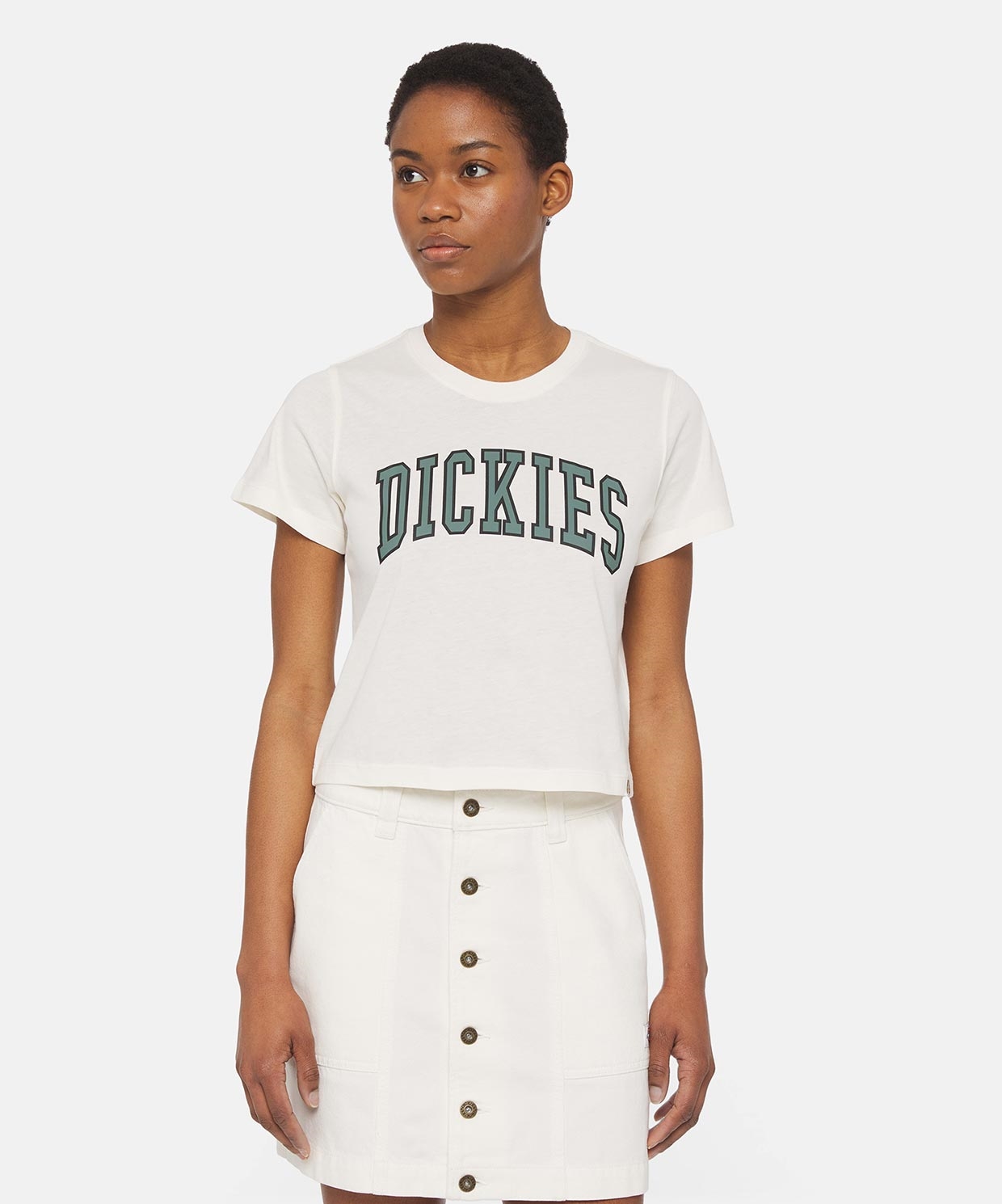 Dickies Aitkin Tee