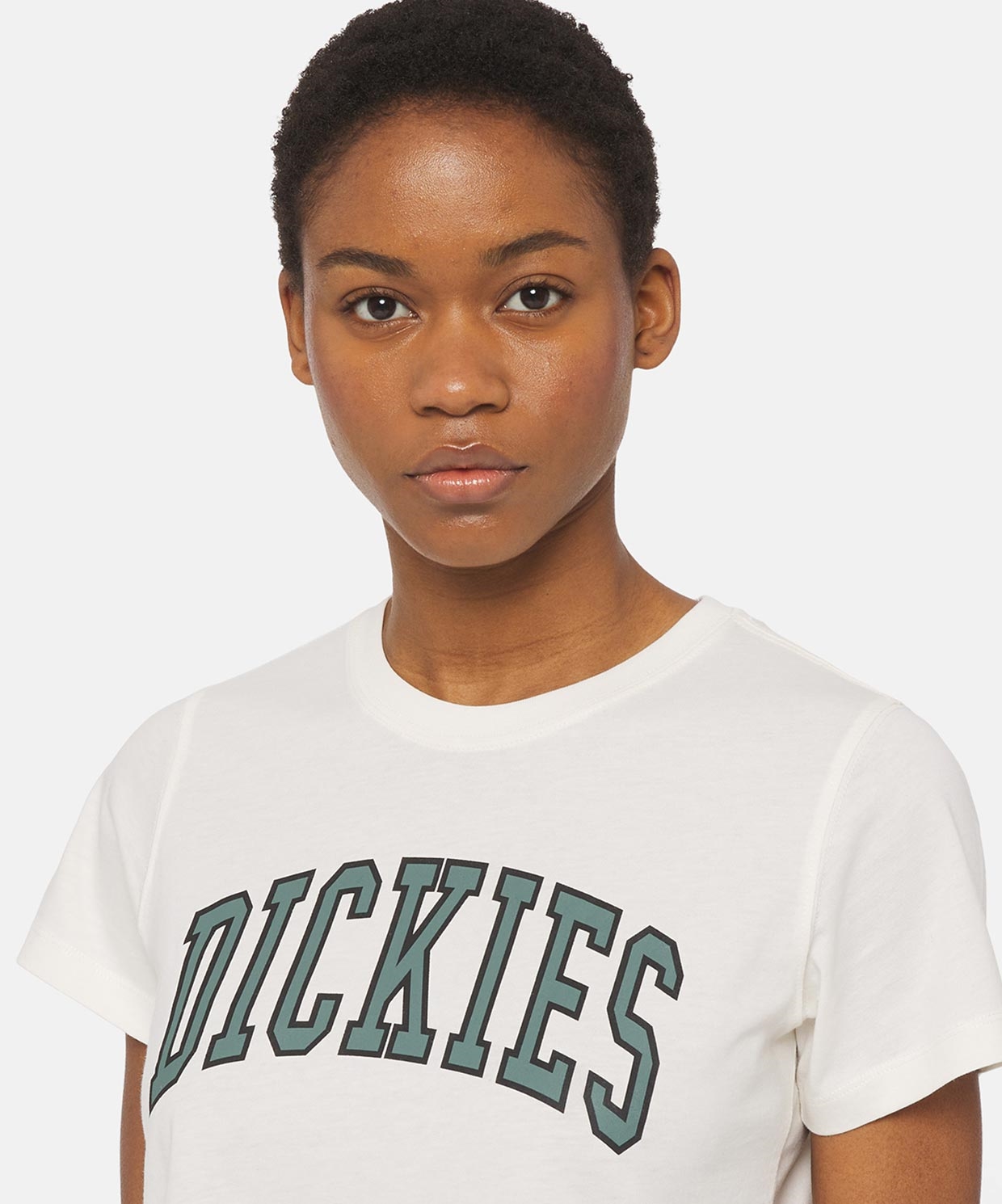 Dickies Aitkin Tee