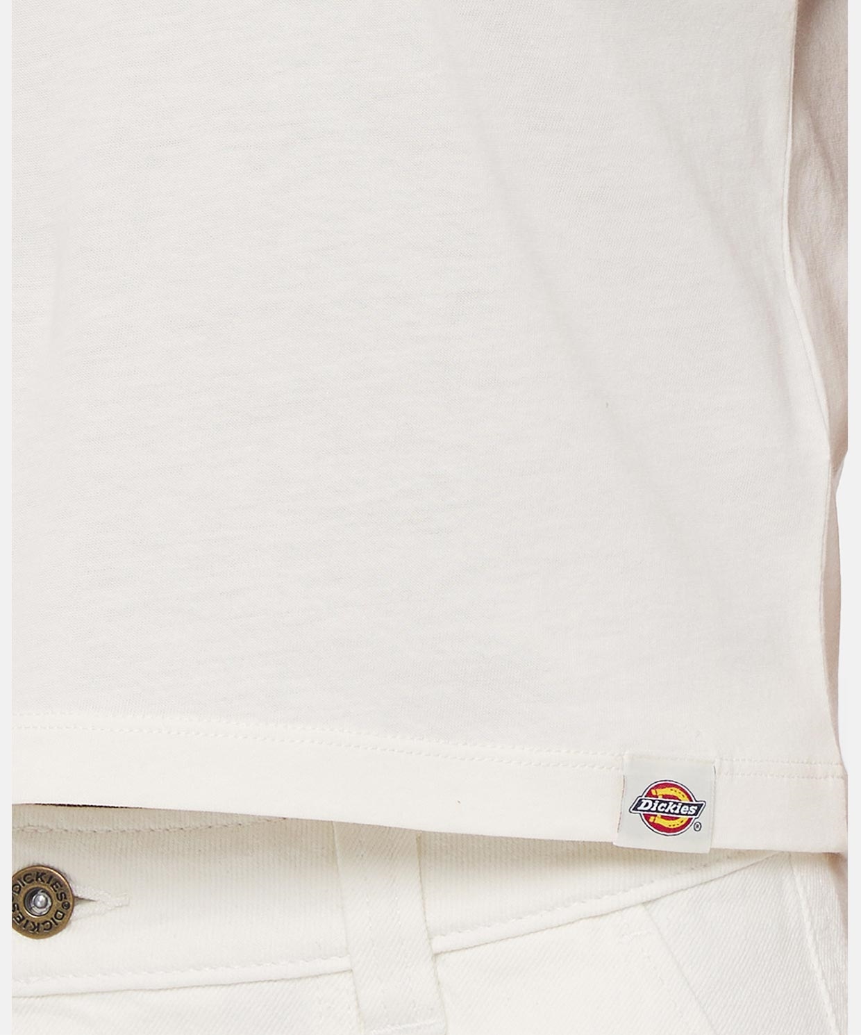 Dickies Aitkin Tee