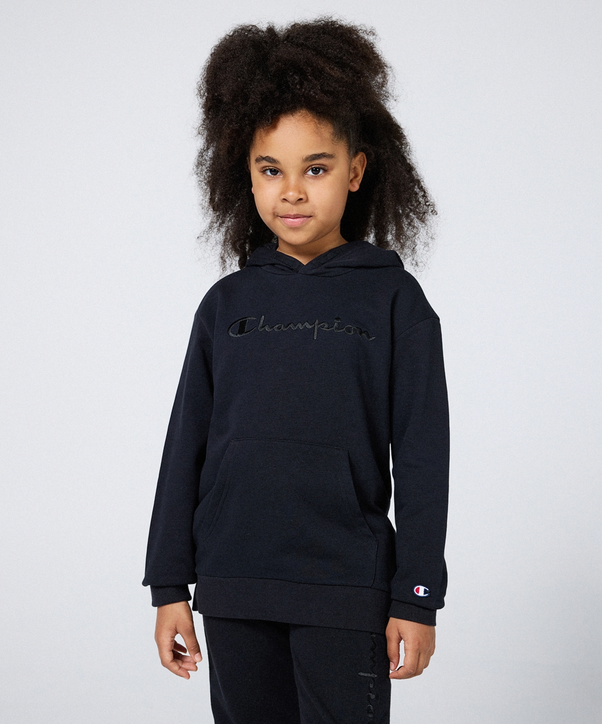 Champion Icons Hooded Sweatshirt