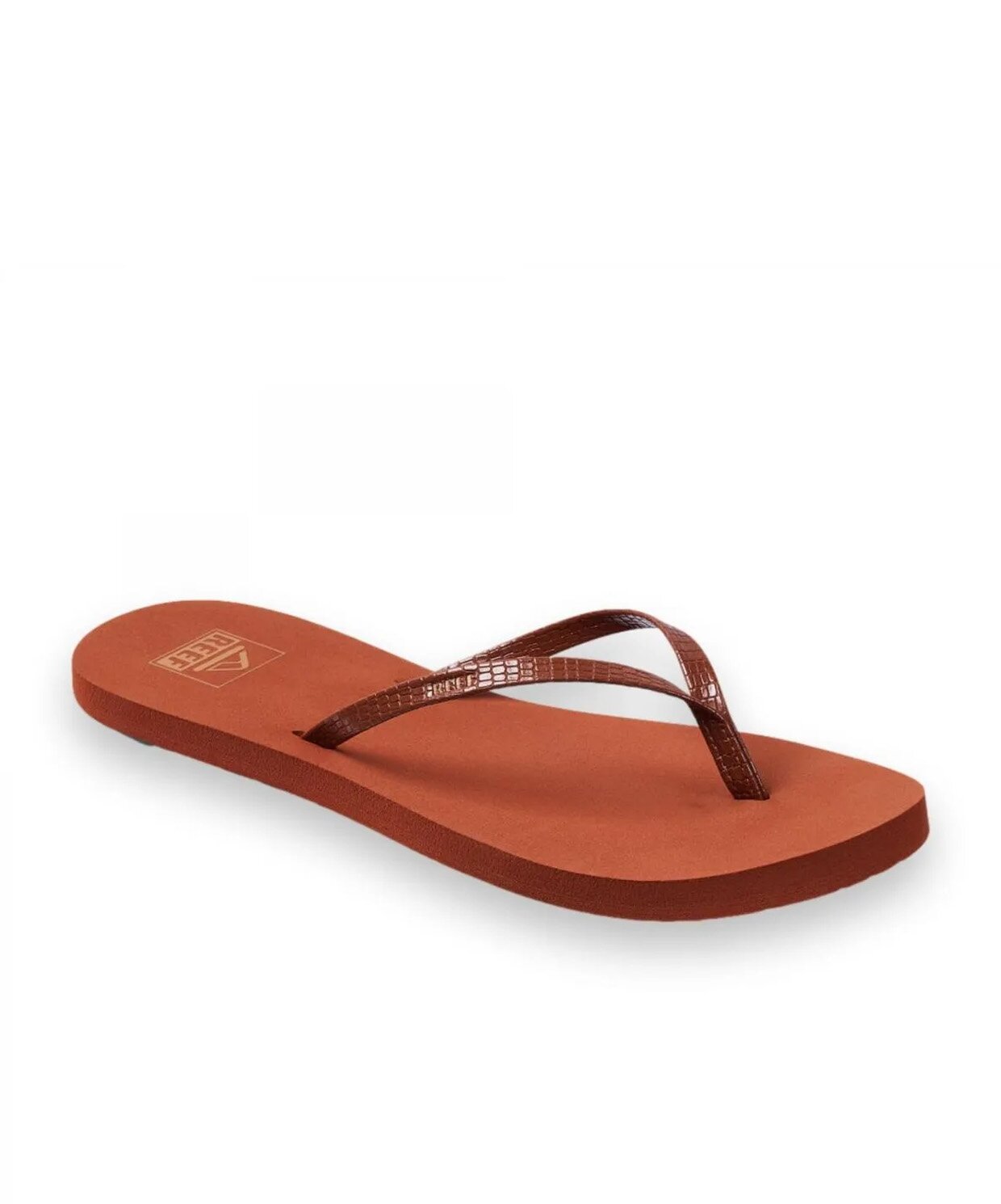 resm Reef Blıss Nıghts