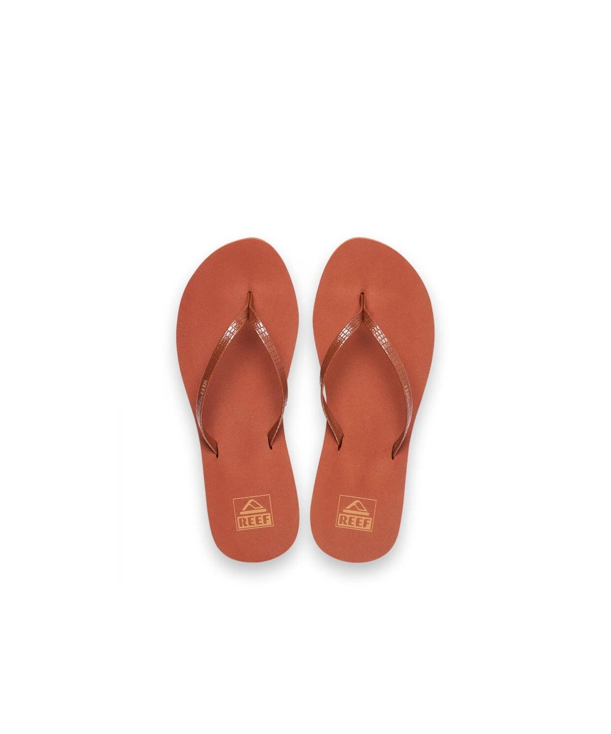 resm Reef Blıss Nıghts