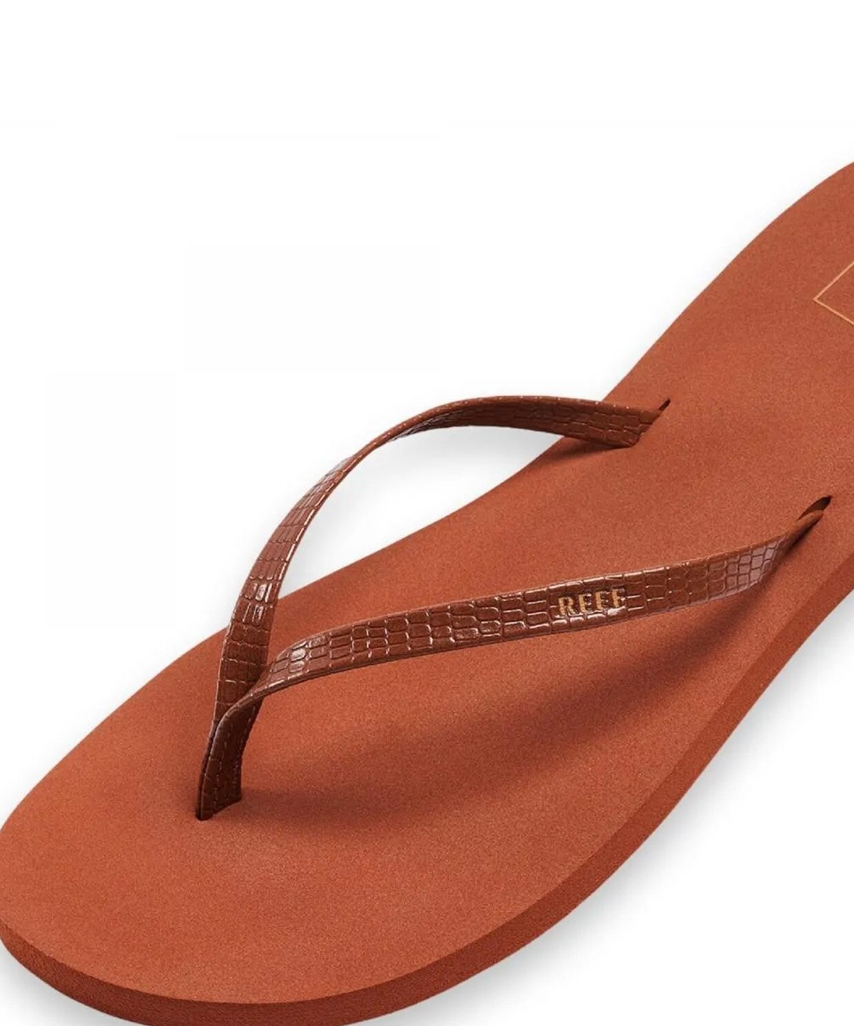 resm Reef Blıss Nıghts