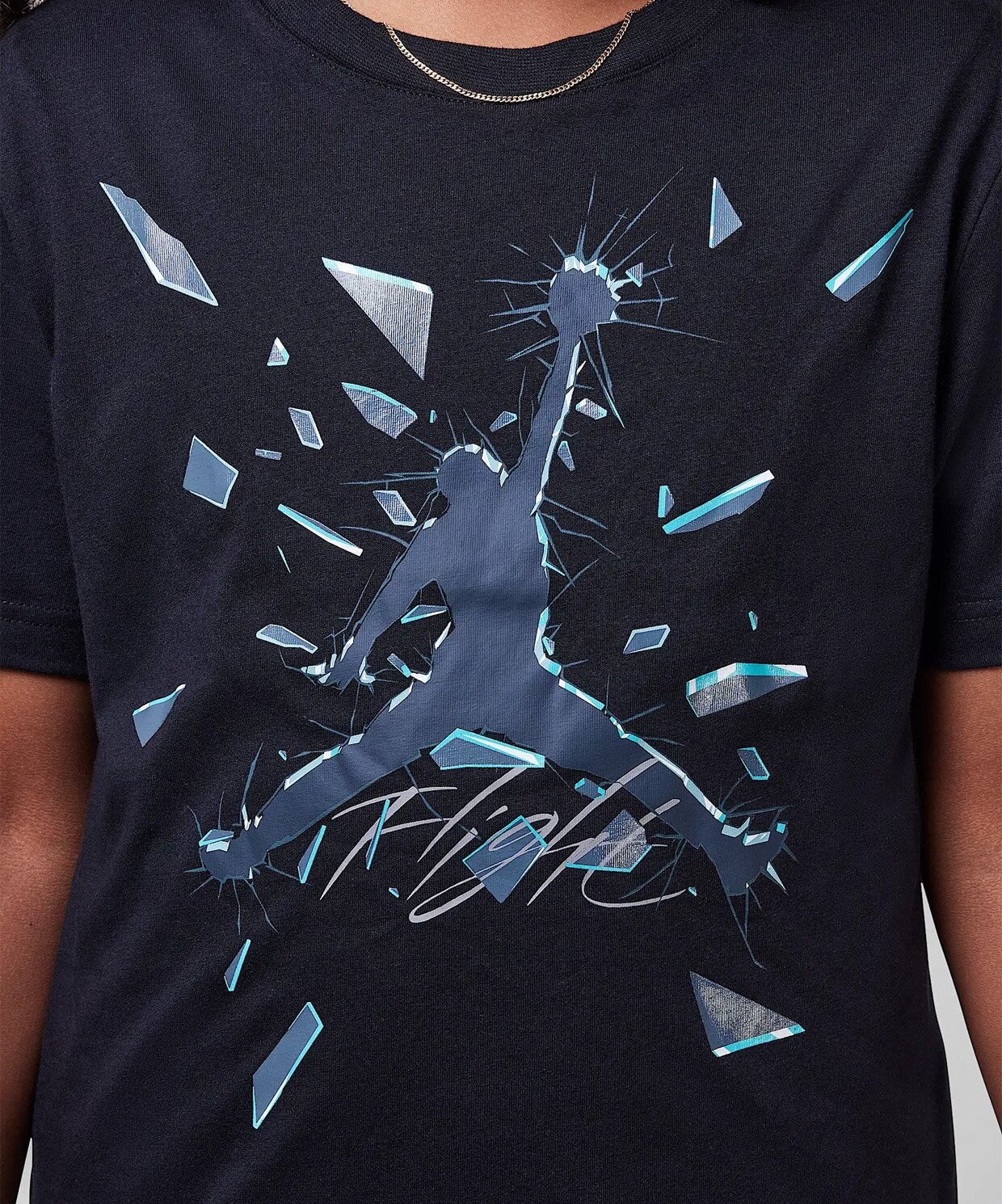 resm Jordan Shattered Glass Jumpman T-Shirt