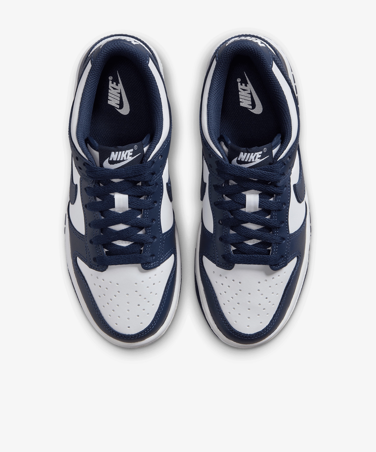 Nike Dunk Low (Gs)
