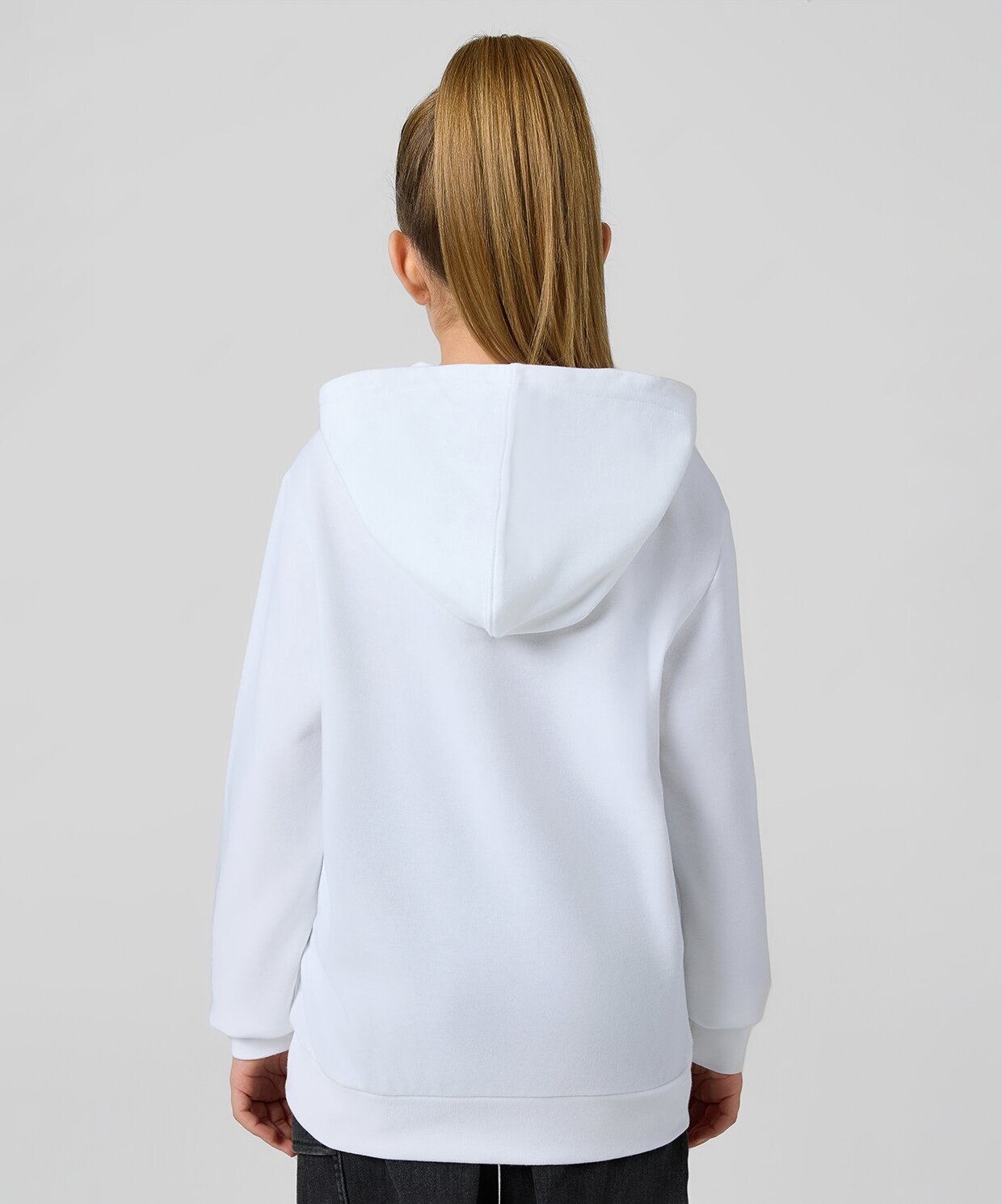 resm Champion Icons Hooded Sweatshirt