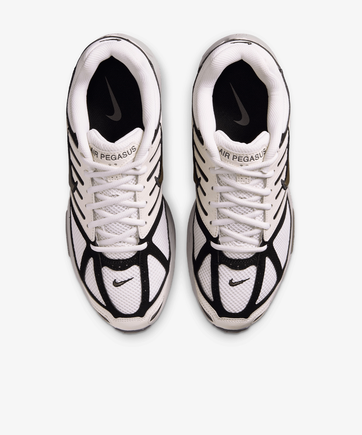 Nike Air Pegasus 2005