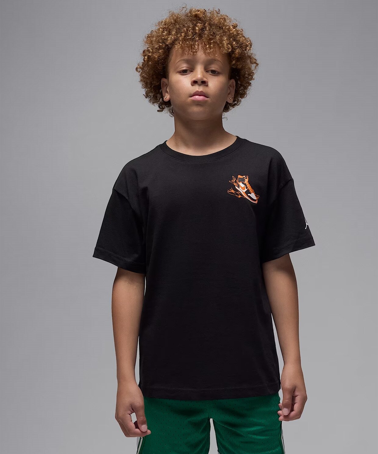 resm Jordan Air Has Landed T-Shirt