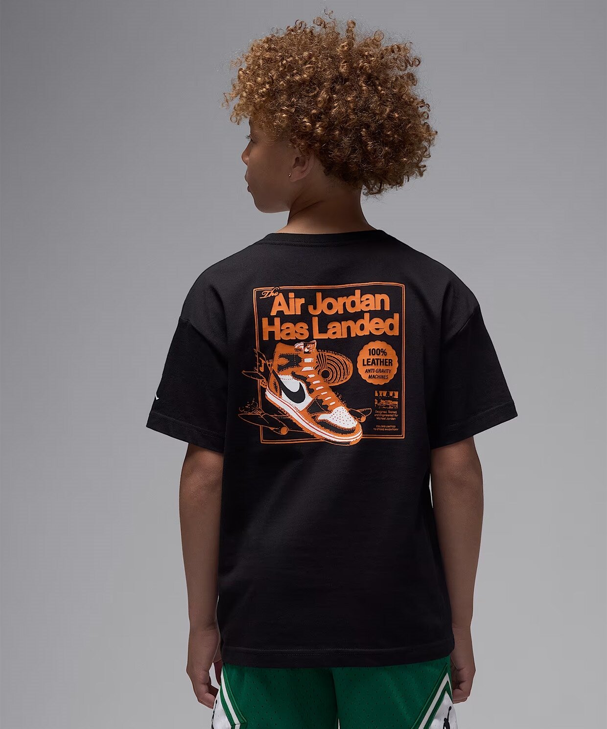 resm Jordan Air Has Landed T-Shirt