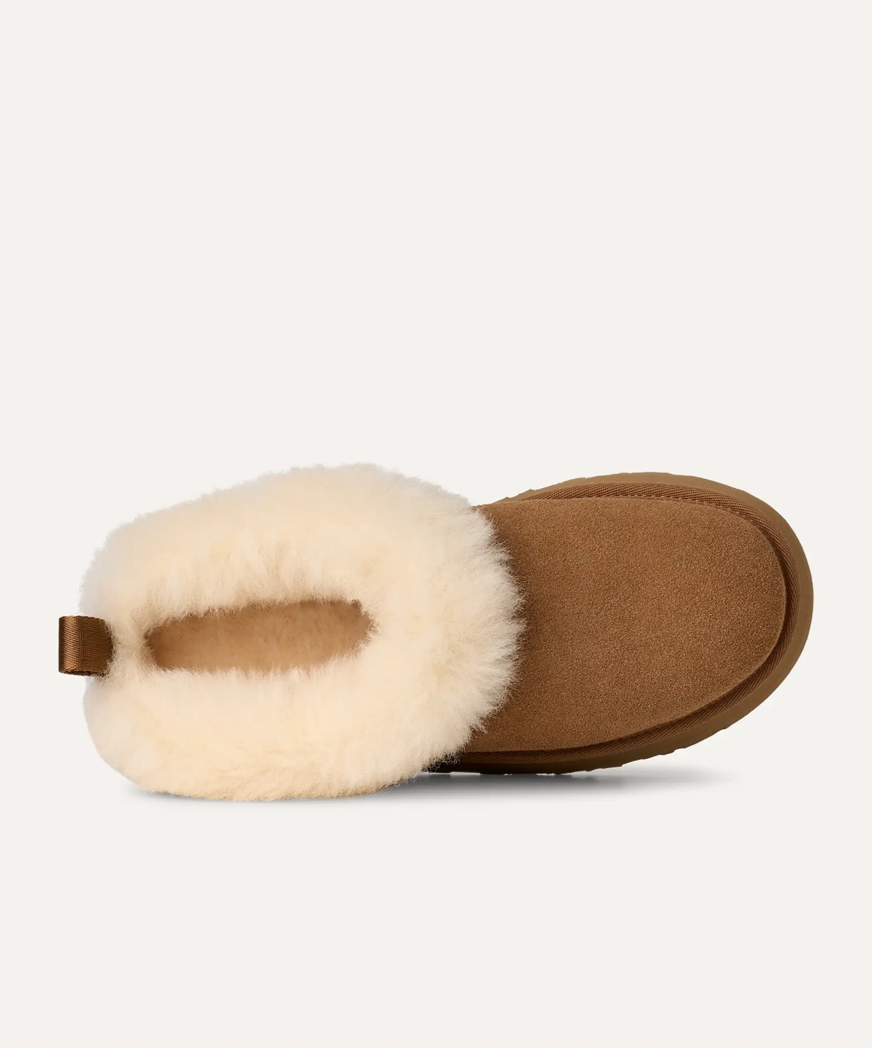 Ugg Tazzelle