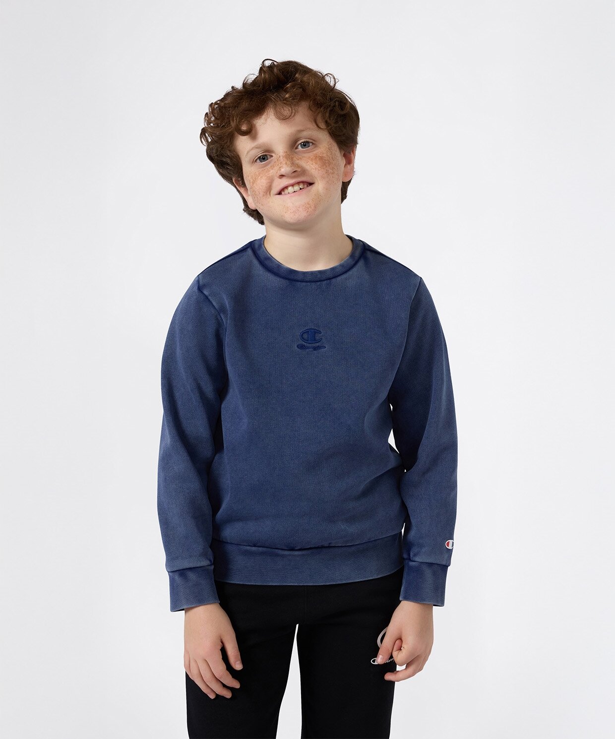 Champion Icons Wash Crewneck Sweatshirt