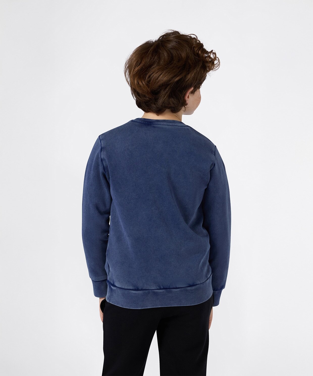 resm Champion Icons Wash Crewneck Sweatshirt