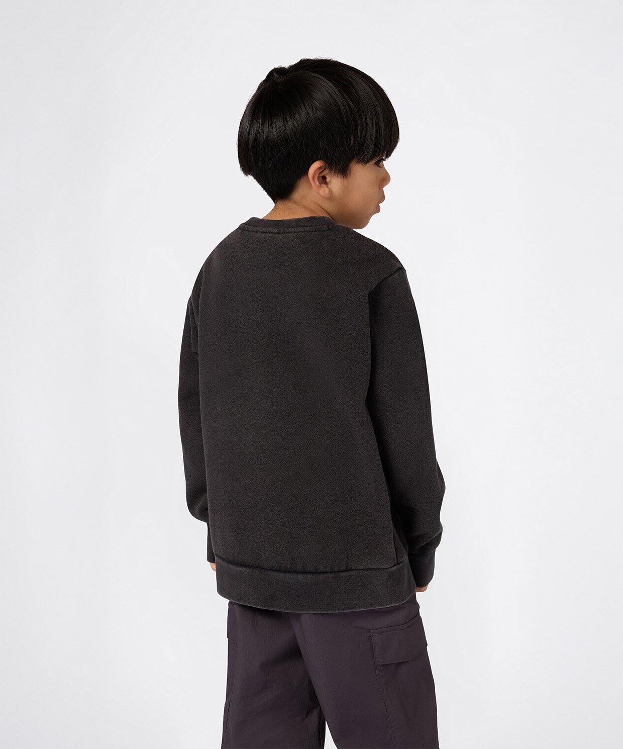 resm Champion Icons Wash Crewneck Sweatshirt