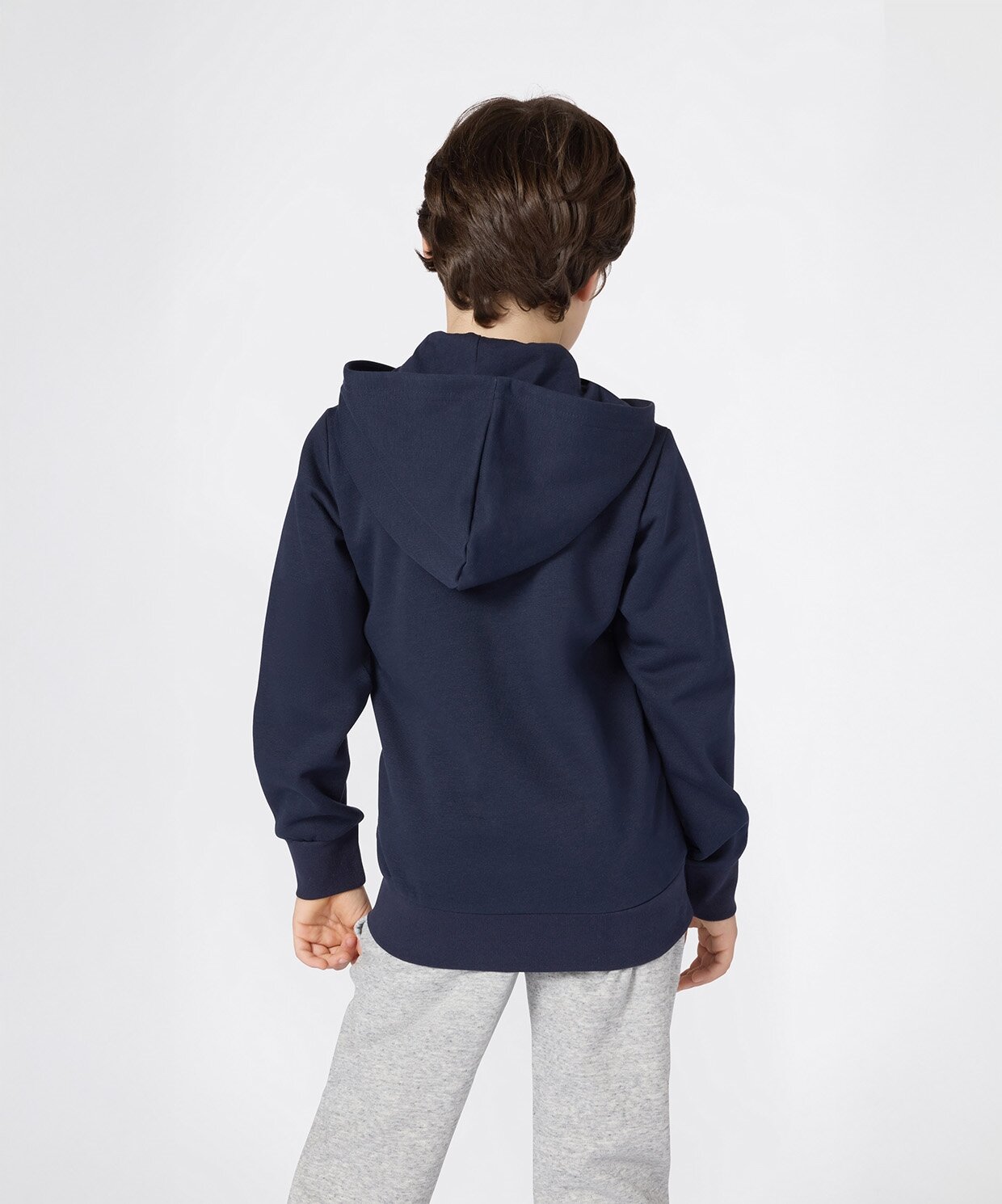resm Champion Icons Hooded Full Zip Sweatshirt