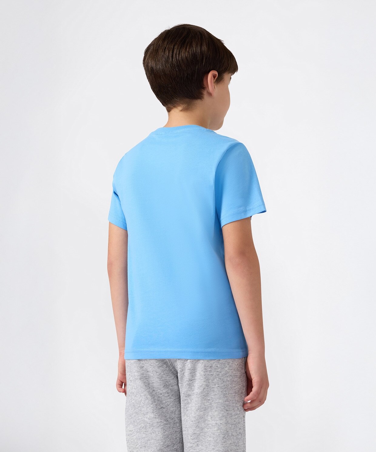 resm Champion Icons Short-Sleeve Tee