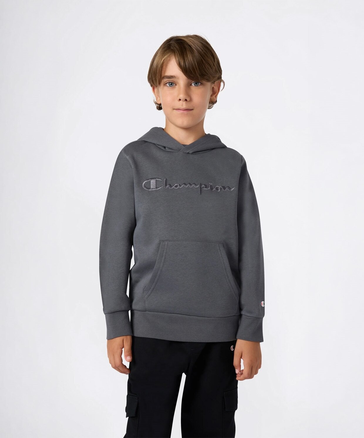 Champion Icons Hooded Sweatshirt
