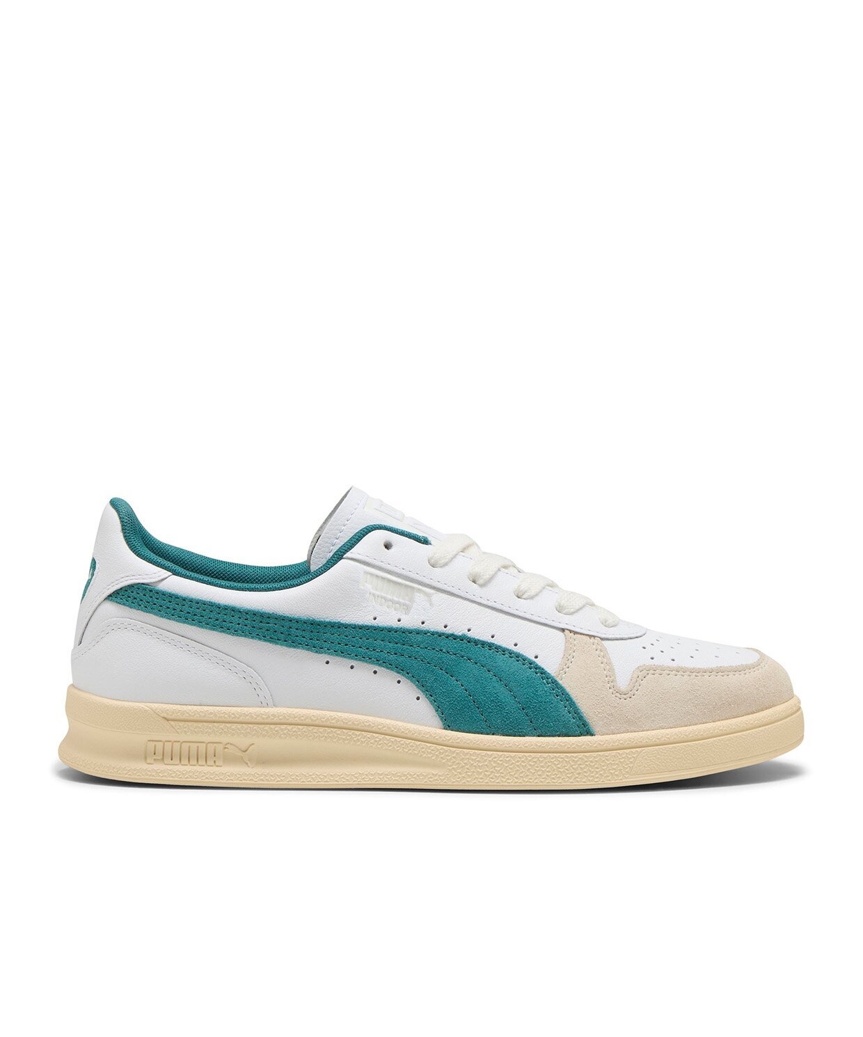 Puma Indoor
