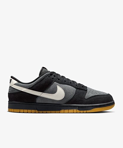 Nike Dunk Low Retro SE | ERKEK | FZ3052-001 | Sneaks Up
