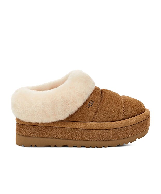 Женские шлепки UGG W Tazzlita