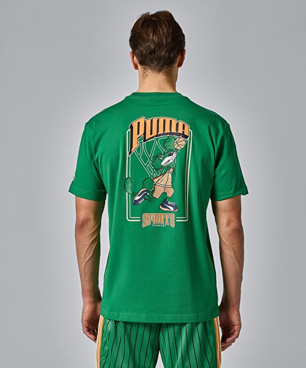 Мужская футболка Puma Team Graphic Tee