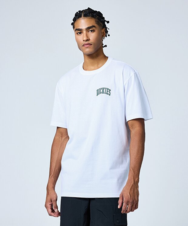 Мужская футболка Dickies Aitkin Chest Tee Ss
