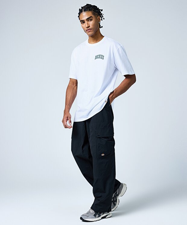 Мужские брюки Dickies Jackson Cargo Pant