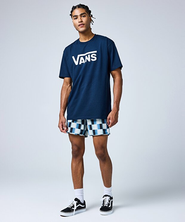 Мужские шорты Vans The Daily Check Boardshort