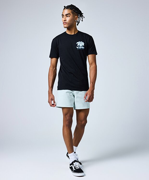 Мужские шорты Vans Primary Solid Elastic Boardshort