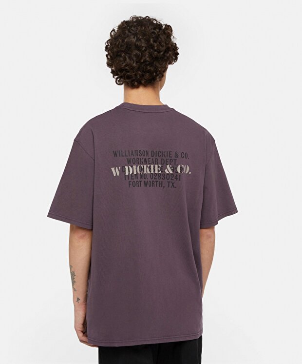 Мужская футболка Dickies Stamp Tee Ss
