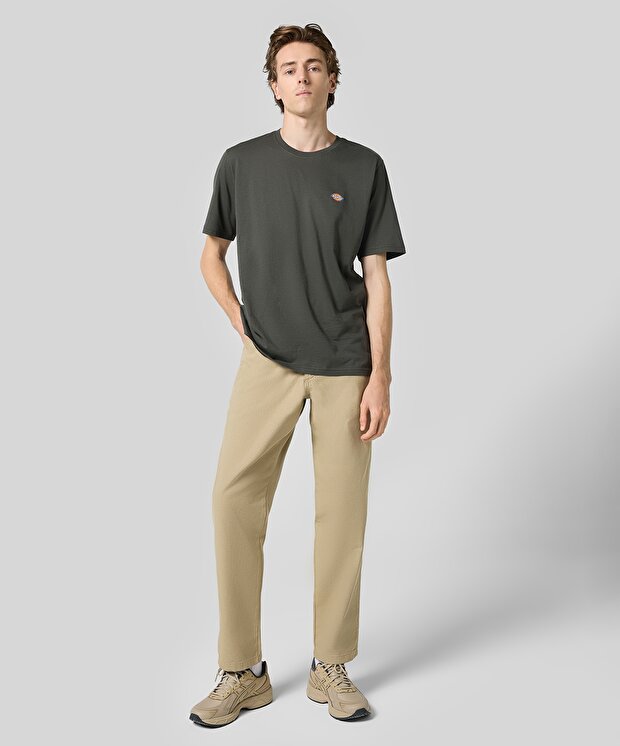 Мужские брюки Dickies Duck Carpenter Pant