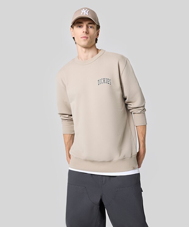 Мужской свитшот Dickies Aitkin Chest
