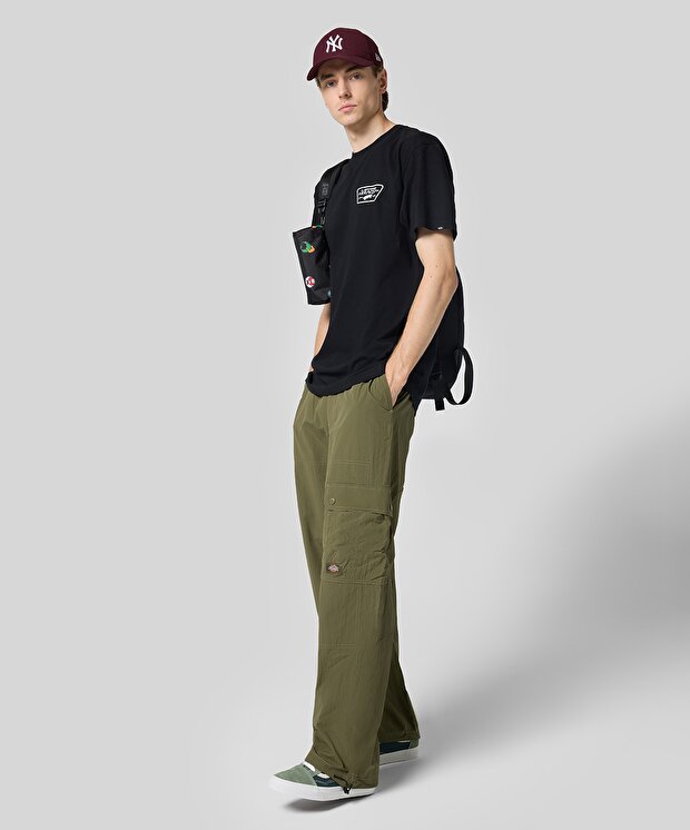 Мужские брюки Dickies Jackson Cargo Pant