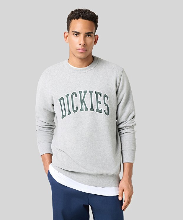 Мужской свитшот Dickies Aitkin