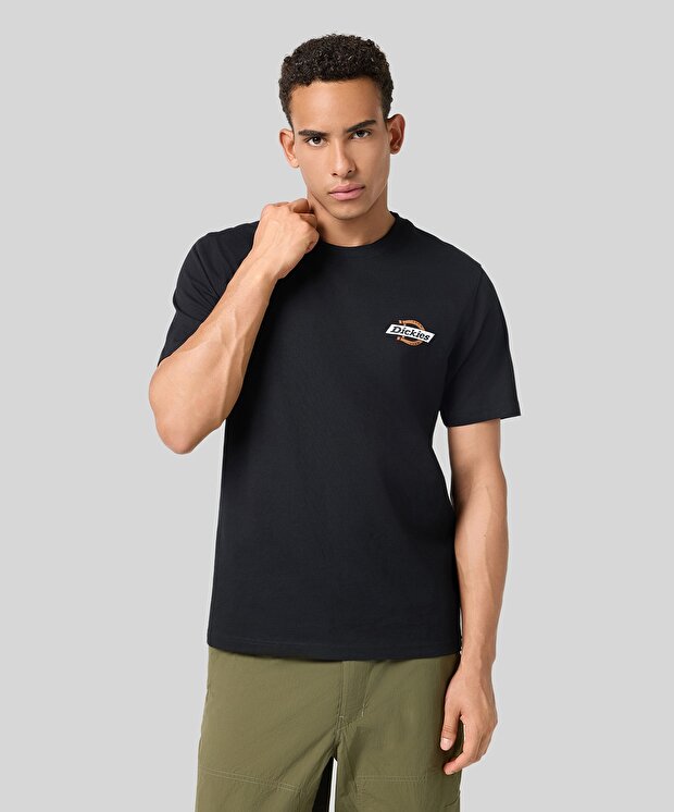 Мужская футболка Dickies Ss Ruston Tee