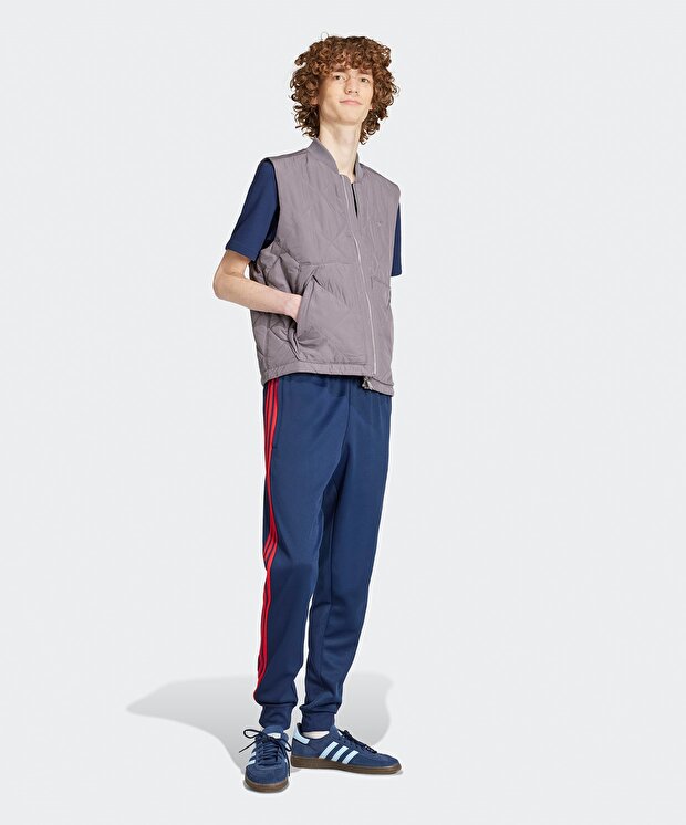 Мужские спортивные штаны adidas Adicolor Classics SST Track Pants