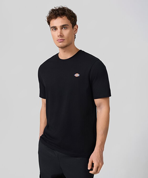 Мужская футболка Dickies Ss Mapleton