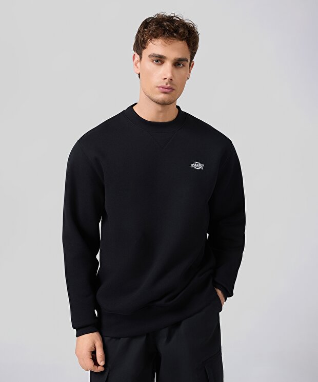 Мужской свитшот Dickies Summerdale