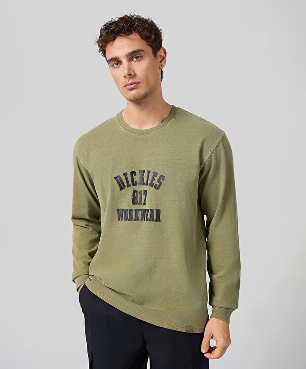 Мужская футболка Dickies 817 Tee Ls