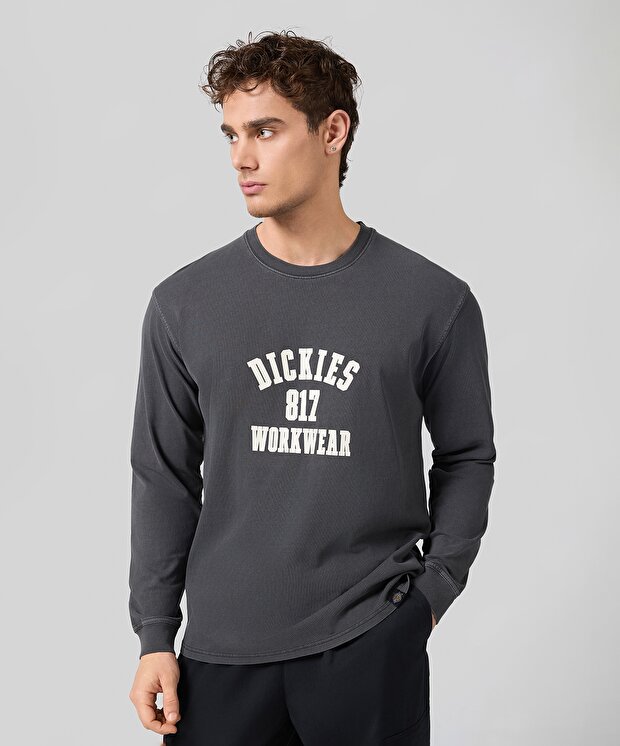 Мужская футболка Dickies 817 Tee Ls