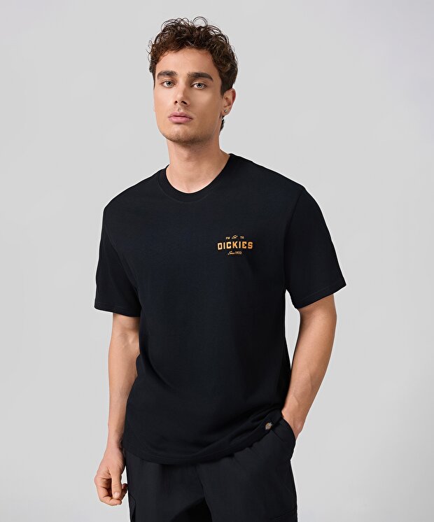 Мужская футболка Dickies Emblem Tee Ss