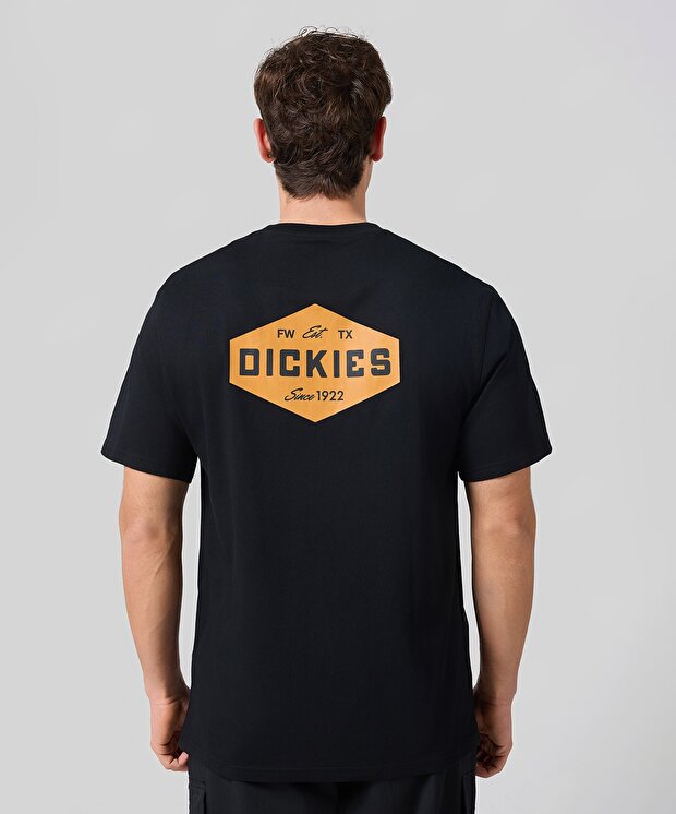 Мужская футболка Dickies Emblem Tee Ss